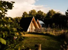 A-Frame Vijverhuisje met uitzicht over de vijver