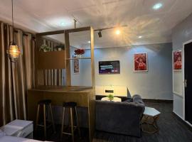Big Studio Unit in Lekki phase 1 - Kitchen, Washer, 24-7 light, WiFi & Netflix, hotel v destinaci Lagos