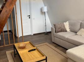 RanyA-Frame, camping en Nucşoara