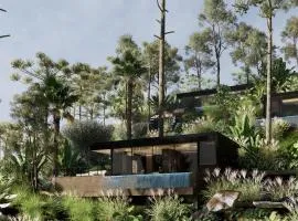 The Ruler Cabin