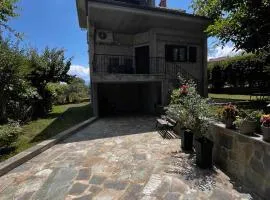 Ιξός Home