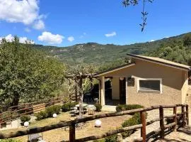 Agriturismo Nonno Ninuccio