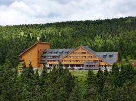 Hotel Petrovy kameny, hotel v destinaci Karlova Studánka