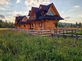 Chałupy Góralskie Kościelisko Witów, hotel v destinaci Witów