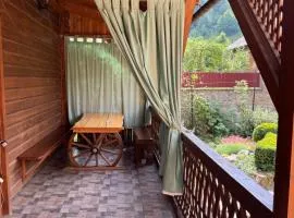 Затишок в Карпатах