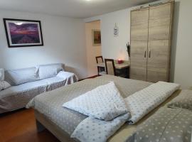 Apartma Lastovka，位于摩拉瓦托普利采的酒店