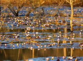 Leopard Ranch - Luxury Tented Camp