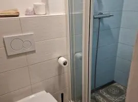 Apt Lublana