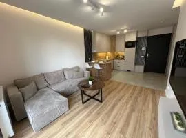 Apartament Vinea