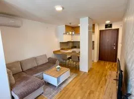 Tina Apartman Sokobanja