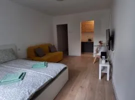 Apartament u Krzyżaka