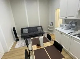 Bloor & Spadina Stay- WALK TO SUBWAY, EATON CENTRE, AND NIGHT LIFE