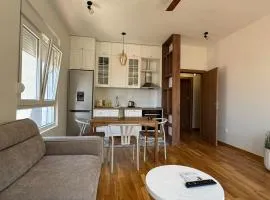 Comfort Stylish Apartment IVSOLE