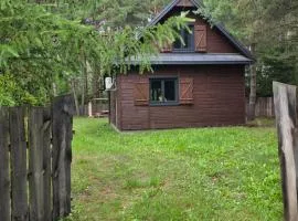 Górecko Kościelne- Domek w Lesie