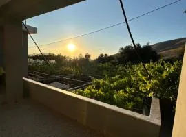 Te Nana's Farm