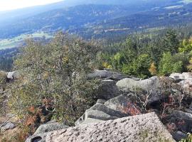 Ferienwohnung Fichtelgebirge, Hotel in Brand
