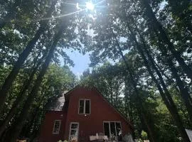 Forest Villa, Gjilan - Nature, Comfort & Privacy