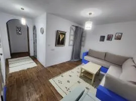 Casa Autiui
