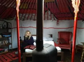 Escape to a cosy Yurt Retreat