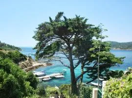 RC d'un Cabanon écologique ile du levant Naturiste