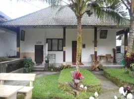 Manik Villa Besakih