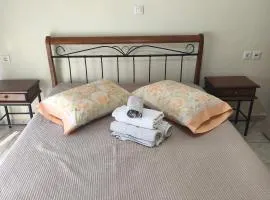 Angies House