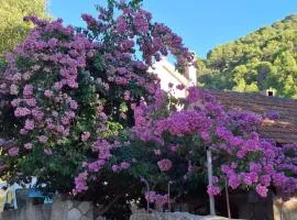 Holiday house Bellissima