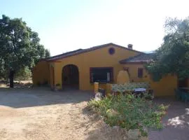 Casa Rural Arroyo de los Álamos