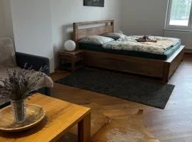 Apartmány MonTexas