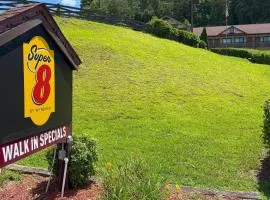 Super 8 by Wyndham Helen