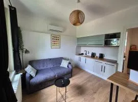Logement "L'Olivier" TREVOUX climatisé