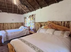 Podocarpus cottages 03