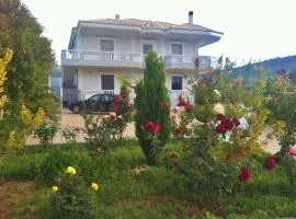 Villa Georgia With Pool