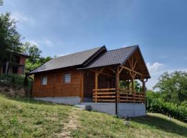 Vikendica Monte, vila v destinaci Ledinci