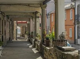 Real 49 camiño Santiago