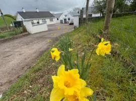 Ma Monaghan's Cosy Cottage County Tyrone