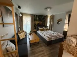 Luxury Studio1 in Hotel Friends SPA