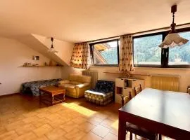 Appartamento Roda di Vael