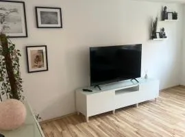 Wohnung-Dransfeld