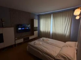 Garsonieră modernă în Zarnesti