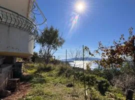 Lukova 360 View