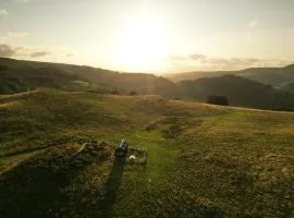 Vega
