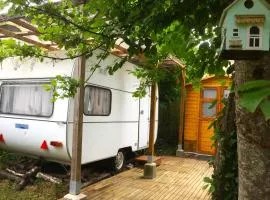 Glamping du loup garou