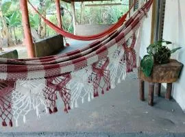 Paraíso dás águas