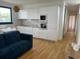 Blue Shark Appartment