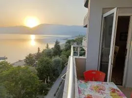 Aldo's apartments