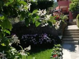 Apartman Kristina