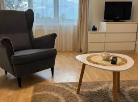 Self Check- in Cozy Apartment