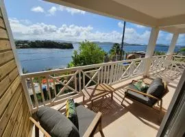 F2 magnifique vue mer