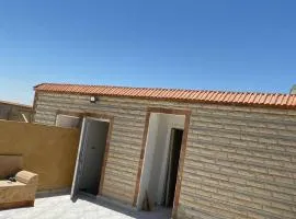 الإسكندرية